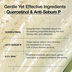ANUA Heartleaf Cleansing Foam Quercetinol Pore Deep Cleansing Foam (150ml)